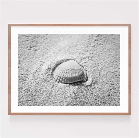 Sally Sells Seashells | 1050x1100mm | Natural Grain Frame | Fine Art Photographic Prints By ...