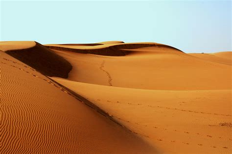 Desert Field · Free Stock Photo