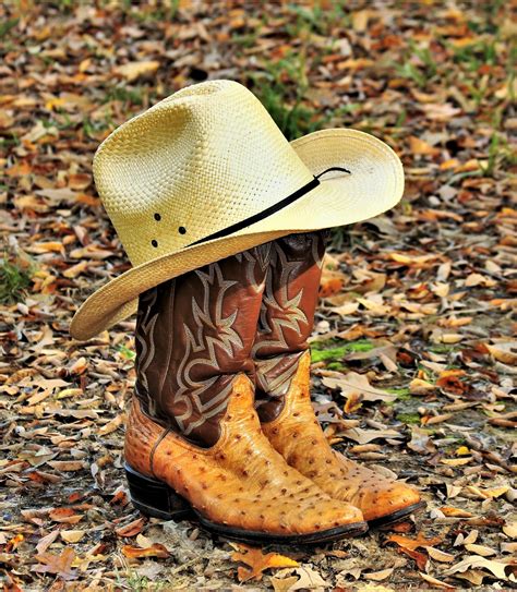 Cowboy Hat And Boots In Leaves Free Stock Photo - Public Domain Pictures