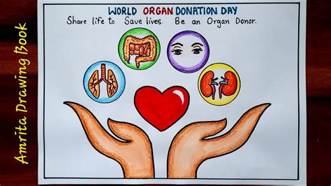 Organ Donation Day Poster Drawing | How to Draw Poster on World Organ Donation Day | Human ...