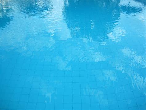 Reflections In Swimming Pool Free Stock Photo - Public Domain Pictures