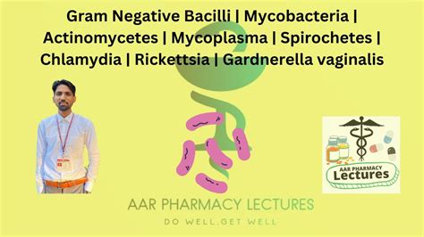 Gram Negative Bacilli | Mycobacteria | Actinomycetes | Mycoplasma | Spirochetes | Chlamydia ...