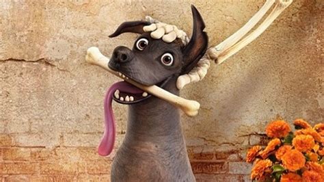 #HermosoXolo: Dante, el perro mexicano que conquistó al mundo entero