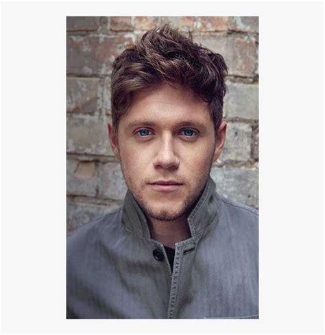 Flicker Poster - Niall Horan Flicker Deluxe Album PNG Image ...