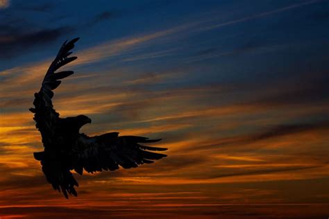 The Eagle, sunset, majestic, sky, clouds, HD wallpaper | Peakpx