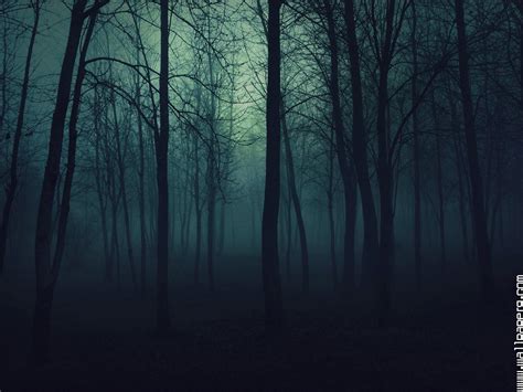 Gothic Forest Wallpapers - Top Free Gothic Forest Backgrounds ...