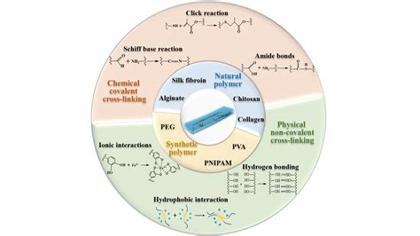 Hydrogel Promotes Wound Healing Better Than Traditional Bandages, Gauzes - AIP Publishing LLC