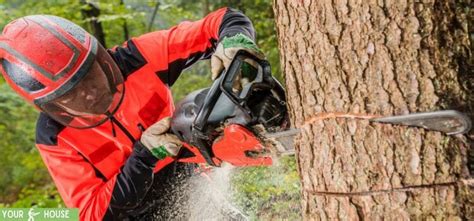 5 Types Of Chainsaw Cuts [Unveiling The Best Techniques]