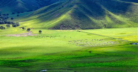 Inner Mongolia Province: unimaginably vast grasslands in this gargantuan region