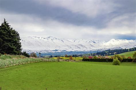 Snowy mountain in South Island , New Zealand Photograph by Pla Gallery - Fine Art America