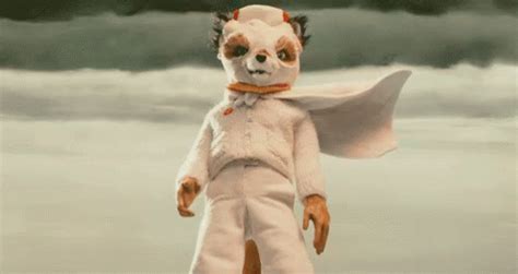 Fantasticmrfox GIF - Fantasticmrfox - Discover & Share GIFs