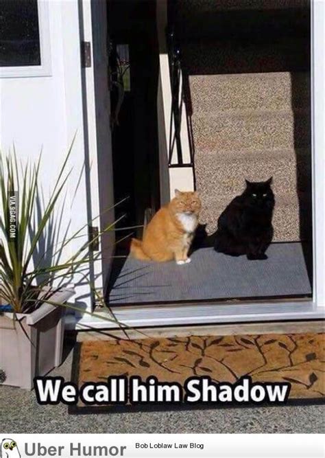 Shadow | Funny Pictures, Quotes, Pics, Photos, Images. Videos of Really ...