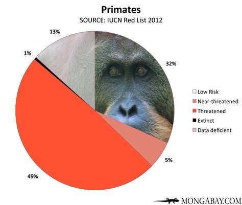 CHART: endangered primates