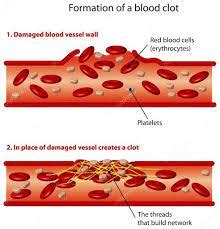 9 Important Function of the Platelets - CBSE Class Notes Online ...