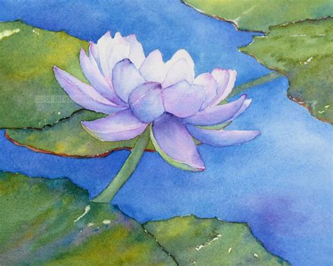 Water Lily Watercolor at GetDrawings | Free download