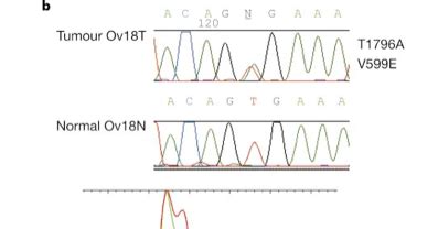 Cancer Biology: The discovery of BRAF mutation in melanoma is shown to ...