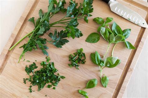 How To Chop Fresh Herbs - Recipes.net