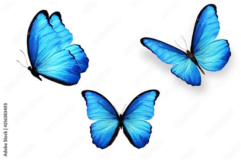 Home Décor Wall Decals & Murals Butterflies etna.com.pe