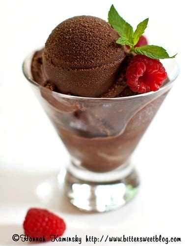 Chocolate Sorbetto (Sorbet) Recipe - Go Dairy Free