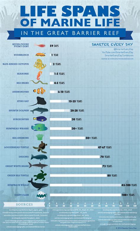 How old do fish get? Today’s Smarter Every Day Infrographic helps understand! ” Marine Aquarium ...