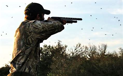 Texas Dove Hunting Guides | Jason Catchings