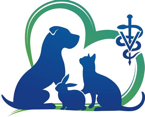 Animal Hospital in Marlton, NJ | County Line Veterinary Hospital