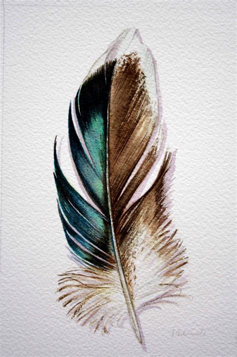 Original Watercolor Feather Study 176 Mallard feather from