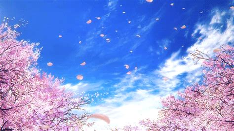 Untitled | Anime cherry blossom, Anime scenery, Aesthetic backgrounds