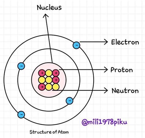 Neutron Diagram