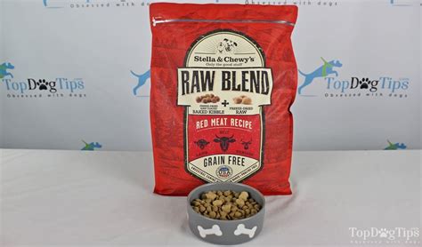 Review: Stella & Chewy's Raw Blend Dog Food (video analysis)