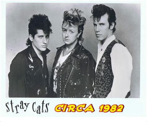 reck'n'roll: They Rocked this world, Rocked it inside Out - THE STRAY CATS