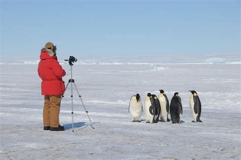 How many people live in Antarctica? – Australian Antarctic Program