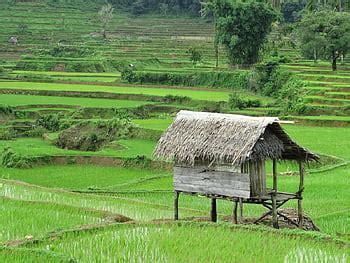 Beautiful Indonesia Landscape. Pemandangan, Indonesia, Beautiful, Indonesia Nature HD wallpaper ...