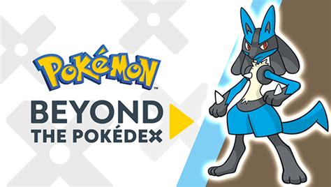 Learn All about Lucario in a New Episode of Beyond the Pokédex | Pokemon.com