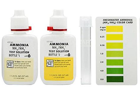 Ammonia Levels- The Invisible Killer in Your Aquarium - FishLab