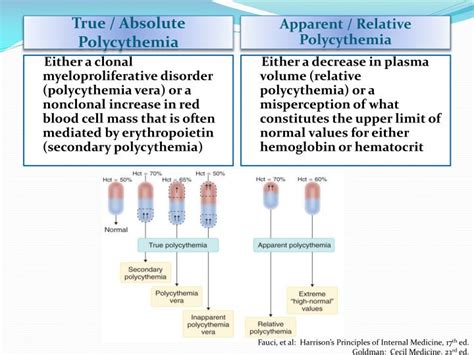 PPT - Polycythemia Vera PowerPoint Presentation - ID:2195687