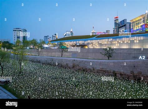 Seoul, Korea - May, 2016: LED lit roses and Dongdaemun Design Plaza ...