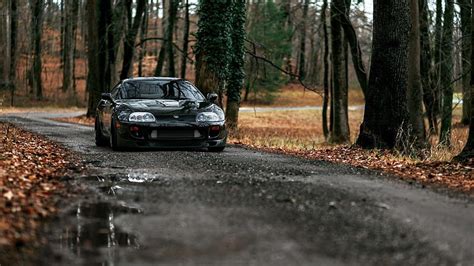 Coche toyota supra jdm negro en el bosque jdm, Fondo de pantalla HD | Peakpx