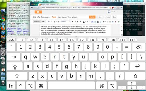 Life of a Computer Scientist: Apple Mac OS X keyboard viewer got stuck ...