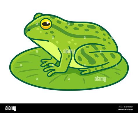 Realistic green frog drawing sitting on lily pad. Cartoon vector clip art illustration Stock ...