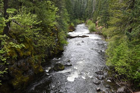 Rogue River In Southwestern Oregon - Camping for Women