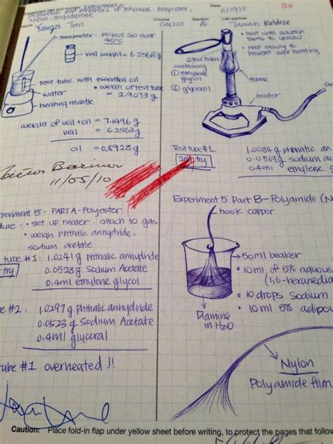 What happens when experiments take too long? | Biology projects, Science notes, Chemistry notes