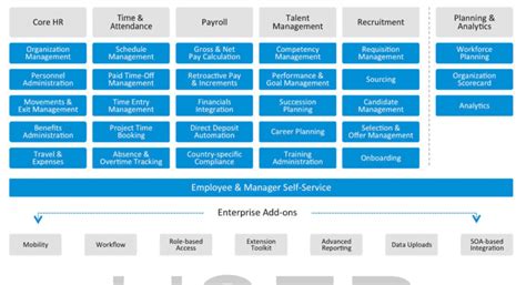 Human Capital Management | Download Scientific Diagram