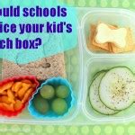 School lunch box - Grassfed Mama