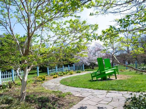 Take A Historical Art Walk Through Rutgers Gardens | New Brunswick, NJ ...