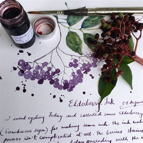 Making ink from Berries – Lost in Colours