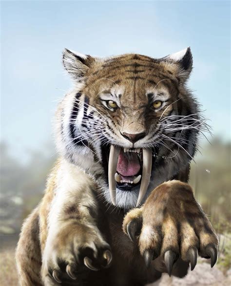 Real Saber Tooth Tiger Wallpaper | PeepsBurgh.Com