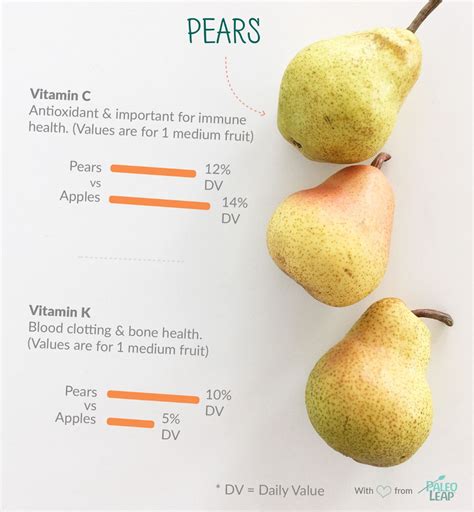 Paleo Foods: Pears | Paleo Leap