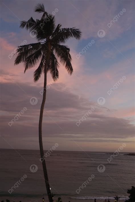 Sunset On The Beach In Unawatuna Background, Palm, Lanka, Unawatuna ...