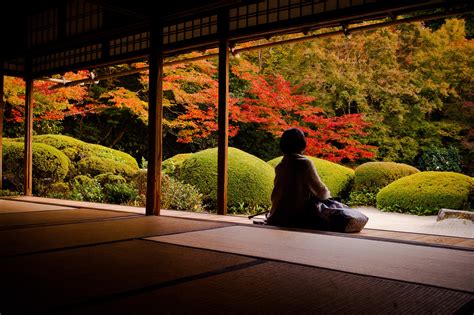 At garden , Kyoto : r/japanpics